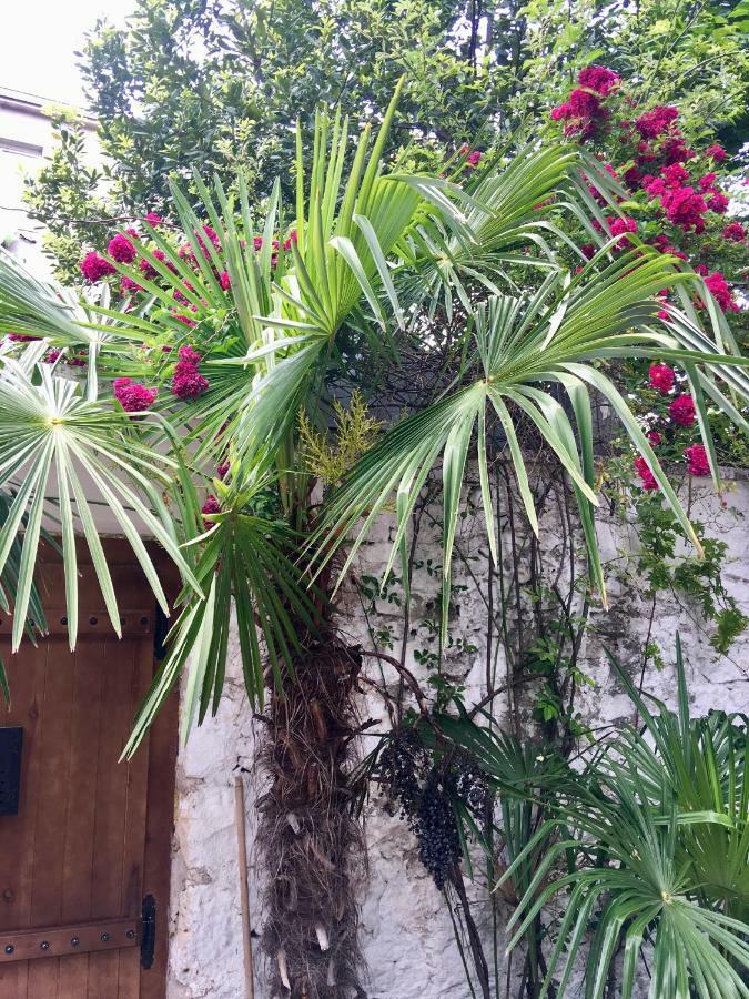 Palmera Mostar Exterior photo